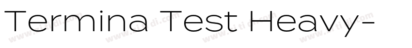 Termina Test Heavy字体转换